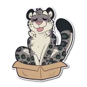 📦