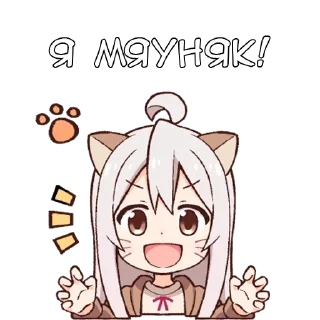 😽