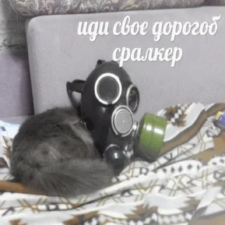 ✌️