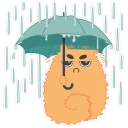 ☂