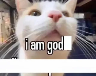 😇