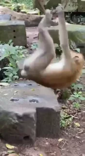 🤩