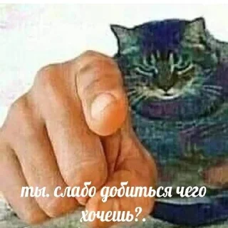 🫡