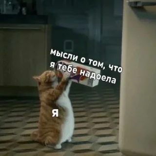 😭