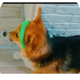 👍