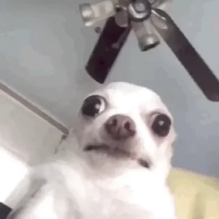 😟