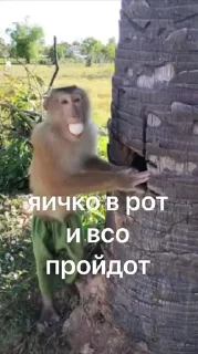 🙈