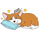 😴