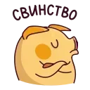 🐷