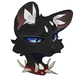 🐱