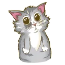 😿