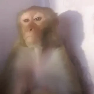 😠