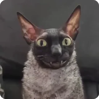 😊