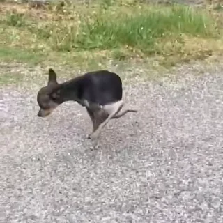 💩