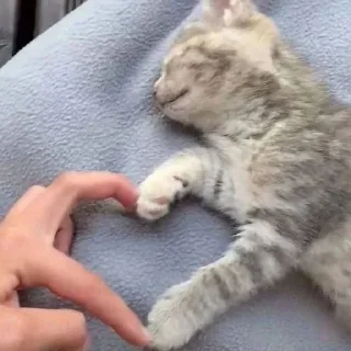 💗