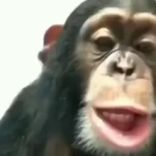 😮