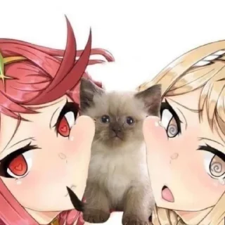 🥺