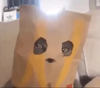 🥸