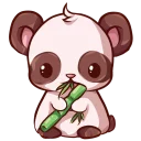 🐼