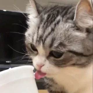 😇