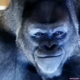 😈