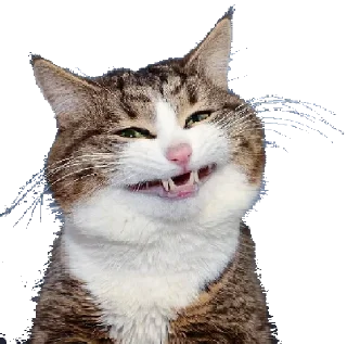 😆