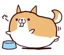 🐶