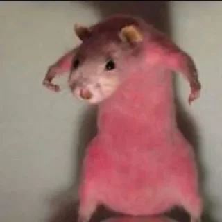 💞