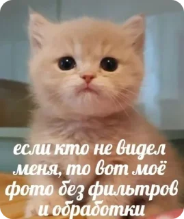 👩