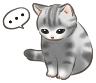🐱