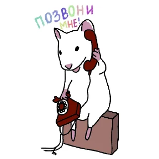 📞