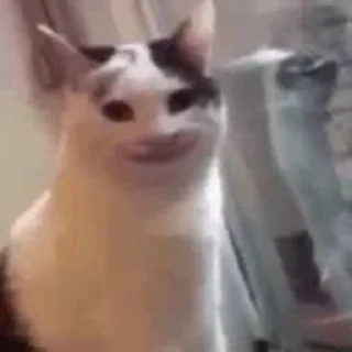 😁