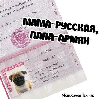 📑