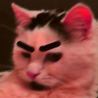 😾