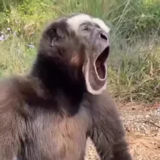 😮