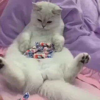 🍬