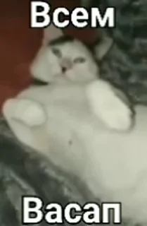 База №4 @basedgigachat
