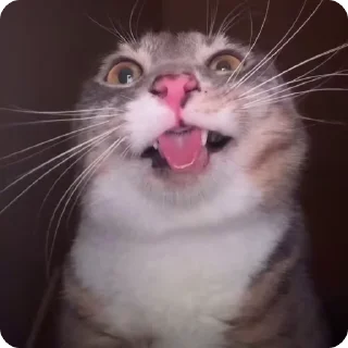 👽