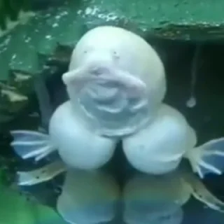 🤯