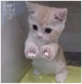 💕