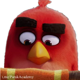 Parak Birds  [@ParakAcademy]