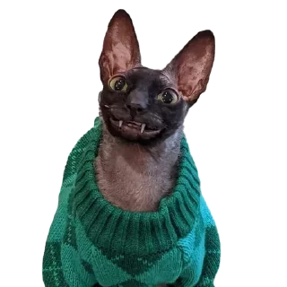 💚