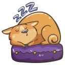 😴