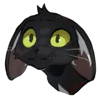 🐱