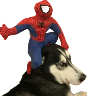 🕷️