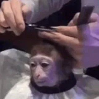 💇