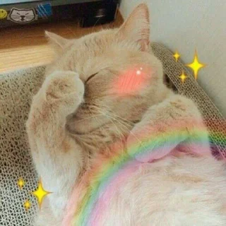 🙈