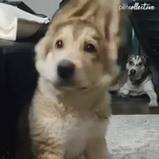 😁