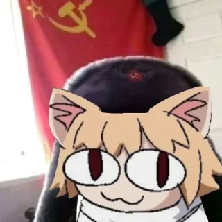 🇨🇳