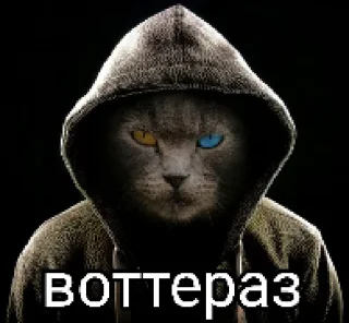 😎